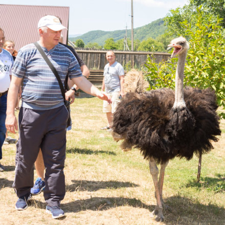 Діамантові канікули ТМ «Примафлора» | Емоції у подарунок, фотозвіт, липень 2019