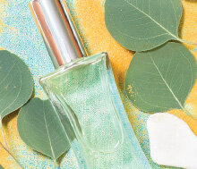 №13. Володар стихій