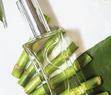 №14. Кришталеве відлуння