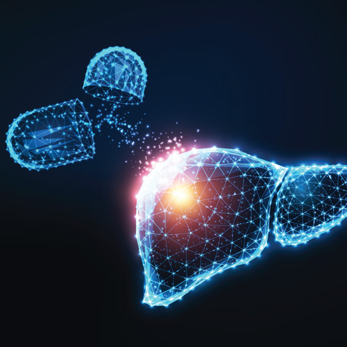 Печень и забота о ней.