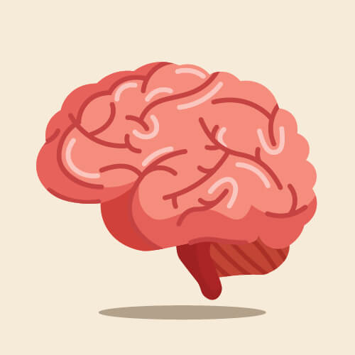 Мозговое кровообращение, причины нарушений, профилактика.