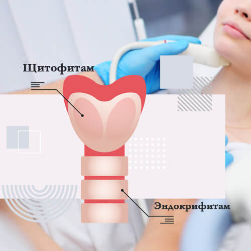 Профилактика заболеваний эндокринной системы.