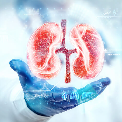 У-Син, январь. Профилактика заболеваний почек и мочевыделительной системы.