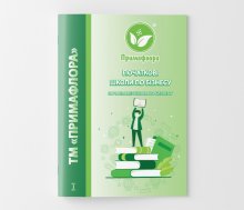 Початкові школи по бізнесу