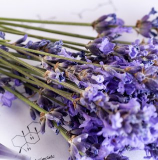 Парфумерія